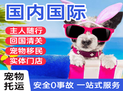 梅县空运公司国际宠物托运 【国